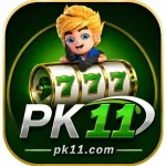 PK11