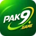 PAK9 Game